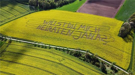 „Willst Du mich heiraten, Jana?“, steht in einem Rettichfeld bei Rauschenberg im Landkreis Marburg-Biedenkopf.