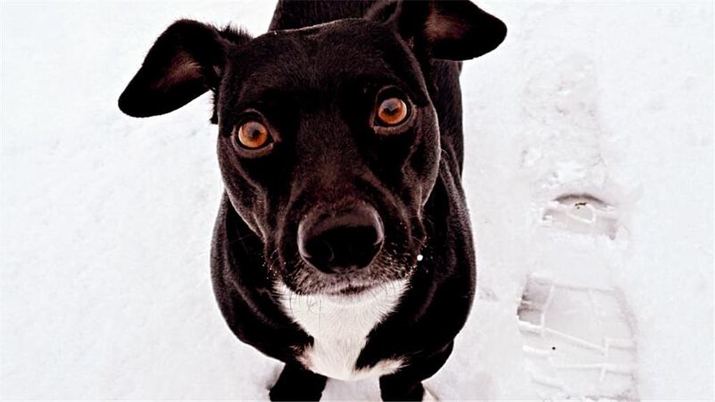 Winder-Schnappschüsse der TAGEBLATT-Leser.