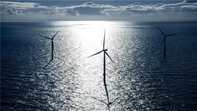 Studie: Windparks könnten chemische Stoffe ins Meer abgeben Windkraftanlagen stehen in der Nordsee. (Illustration)