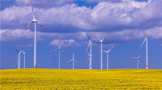 Windkraftanlagen verschiedener Hersteller drehen sich hinter einem blühenden Rapsfeld in einem Windpark.  Foto: Jens Büttner/dpa