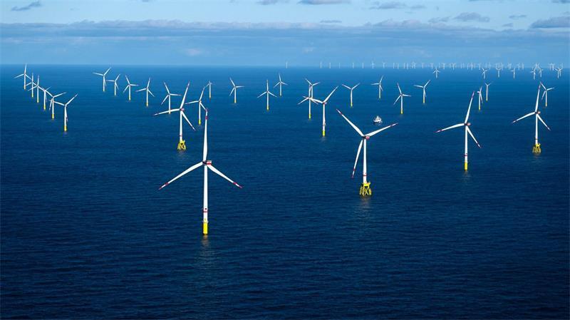 Windparks auf See sind längst etabliert – doch ihr Ausbau droht ins Stocken zu geraten. (Archivbild)
