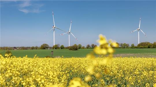 Windräder stehen im Windpark Barkhorst-Lasbek hinter einem Rapsfeld.