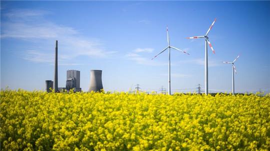 Windräder und das Kohlekraftwerk Mehrum stehen hinter einem Rapsfeld im Landkreis Peine.