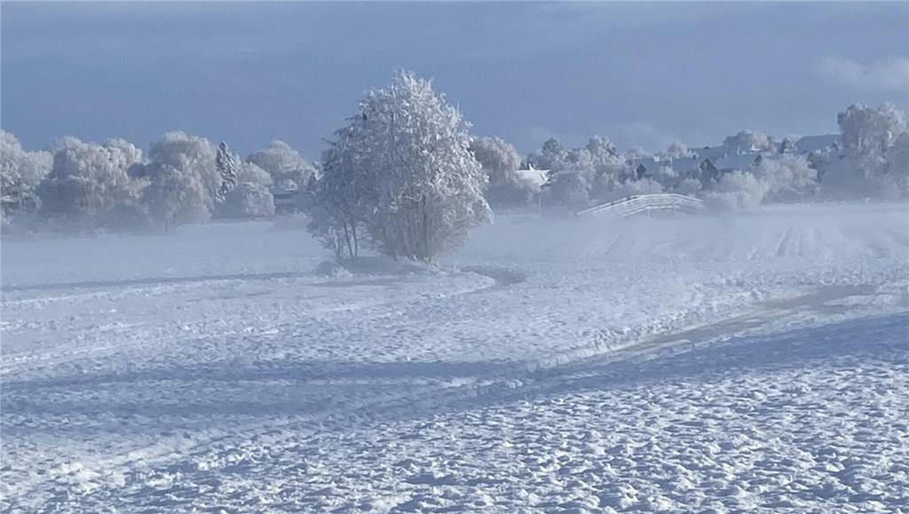 Winter in den Schwingewiesen.