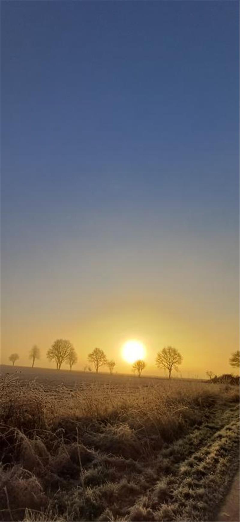 Winterfotos der TAGEBLATT-Leser.