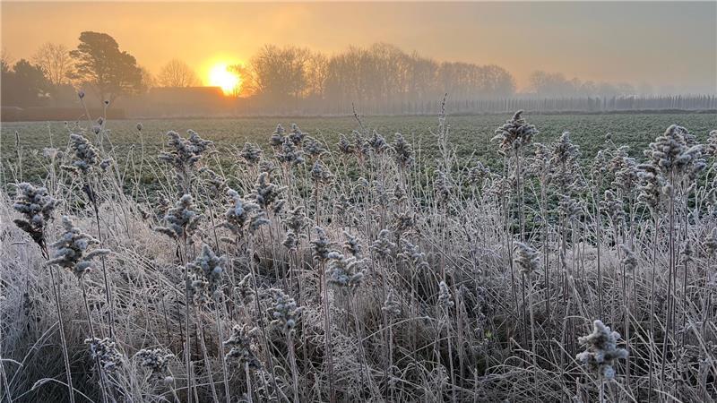 Winterfotos der TAGEBLATT-Leser.