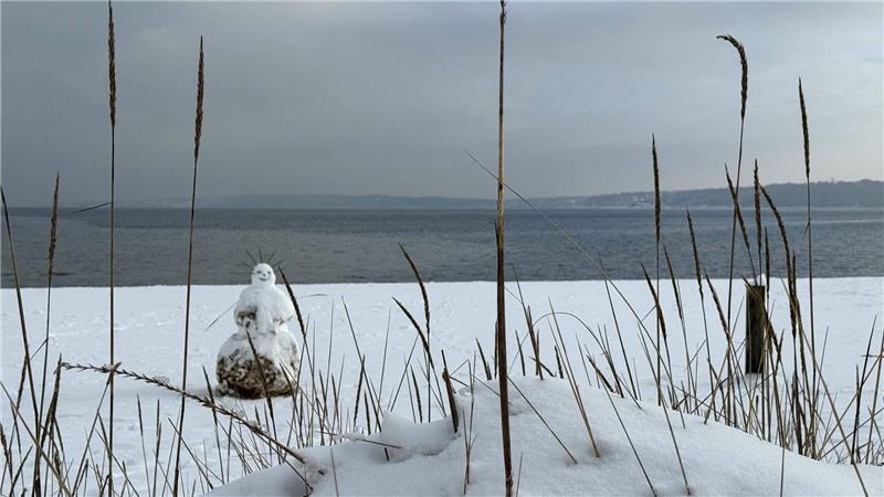 Winterliche Ruhe vor dem angekündigten Oststurm.