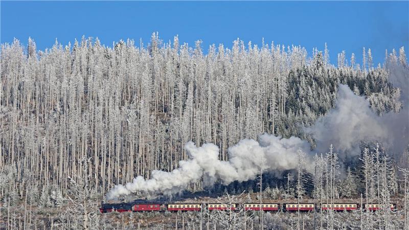 Wintermärchen am Brocken: Sonnige Fahrt mit der Harzer Schmalspurbahn 