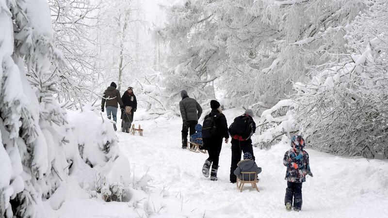 Harz, Heide und Küste melden viele Buchungen Wintersportler gehen mit ihren Schlitten auf dem Sonnenberg im Harz spazieren.
