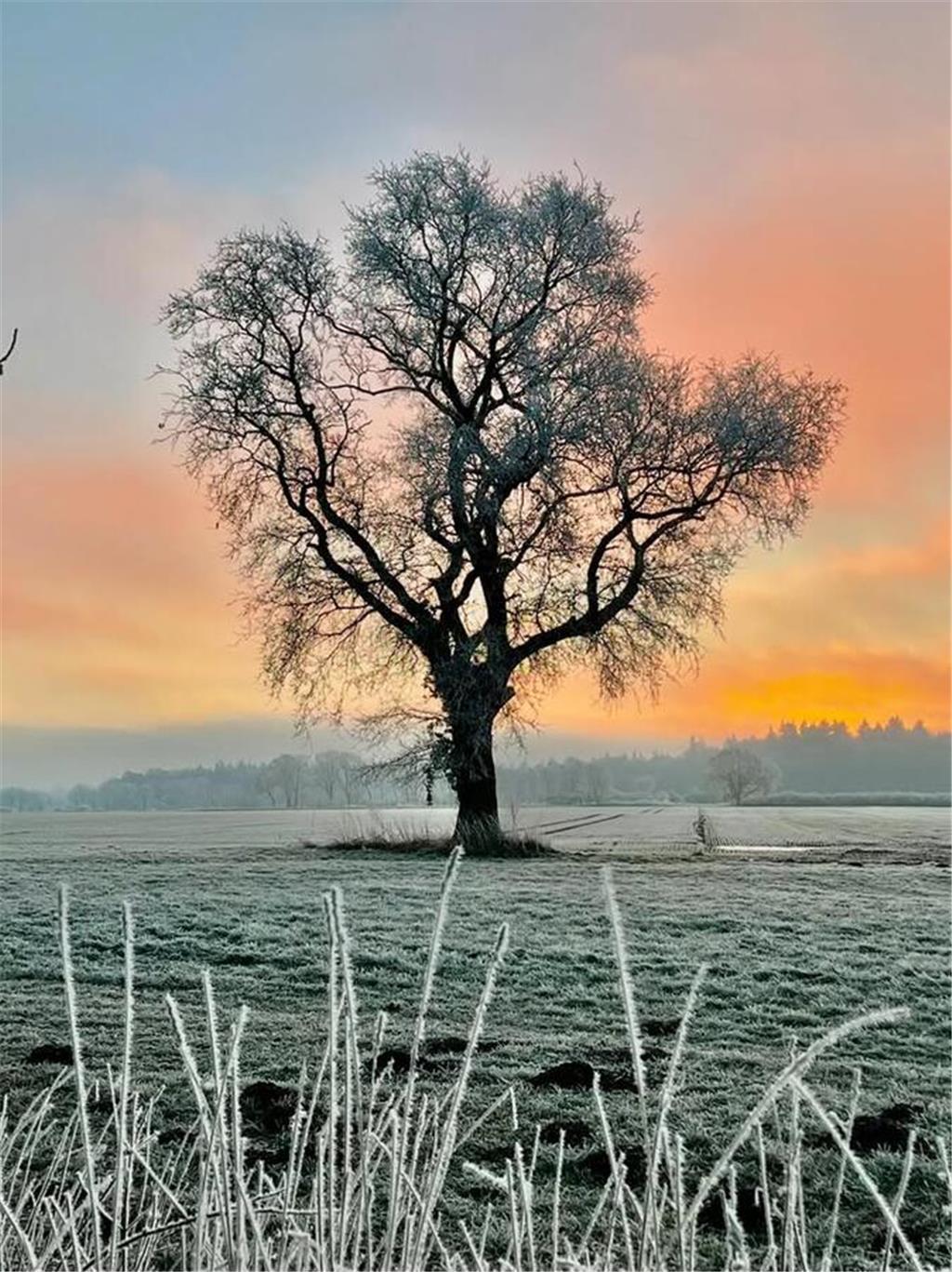 Winterstimmung fotografiert von TAGEBLATT-Leserin Elvira.