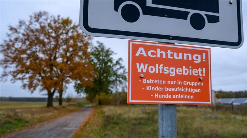 „Wir Menschen ziehen uns zurück, lassen unsere Kinder nicht mehr im Wald spielen“, äußert sich eine Mutter in Stade.