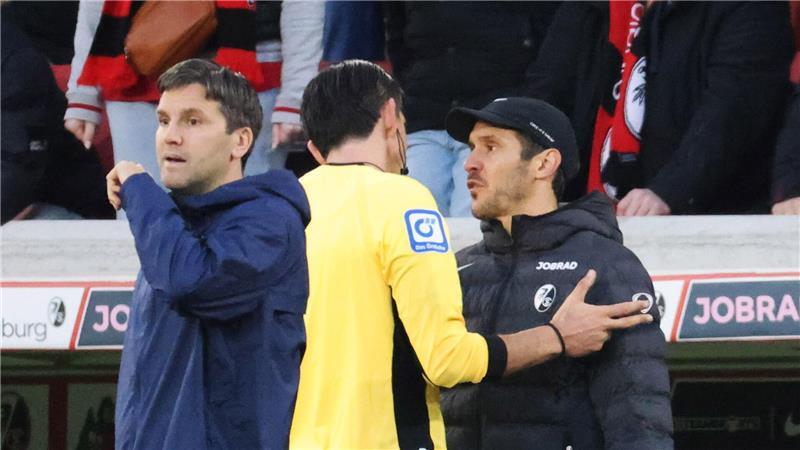 Wirbt für mehr Toleranz: Schiedsrichter Deniz Aytekin. (Archivbild)