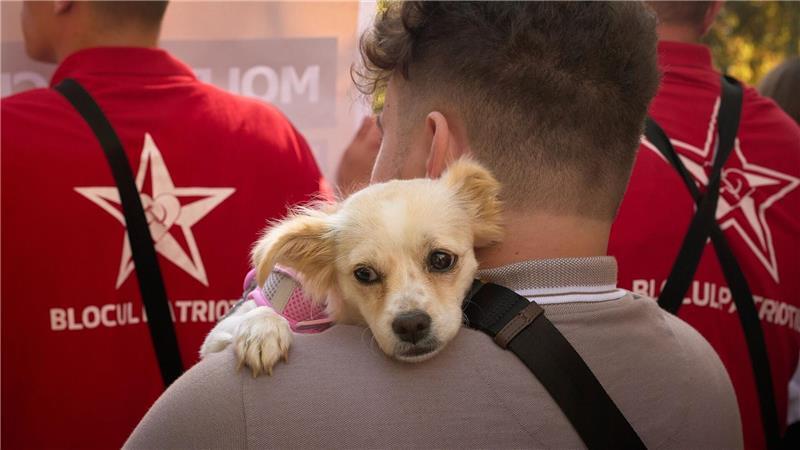 Bilder des Tages Wird Moldau vor die Hunde gehen? Ein Teilnehmer trägt bei der Kundgebung einer russlandfreundlichen Gruppierung in Chisinau einen Hund. Am 28. September wird in Moldau ein neues Parlament gewählt. Die proeuropäische Präsidentin warnt vor einer Einmischung Russlands.