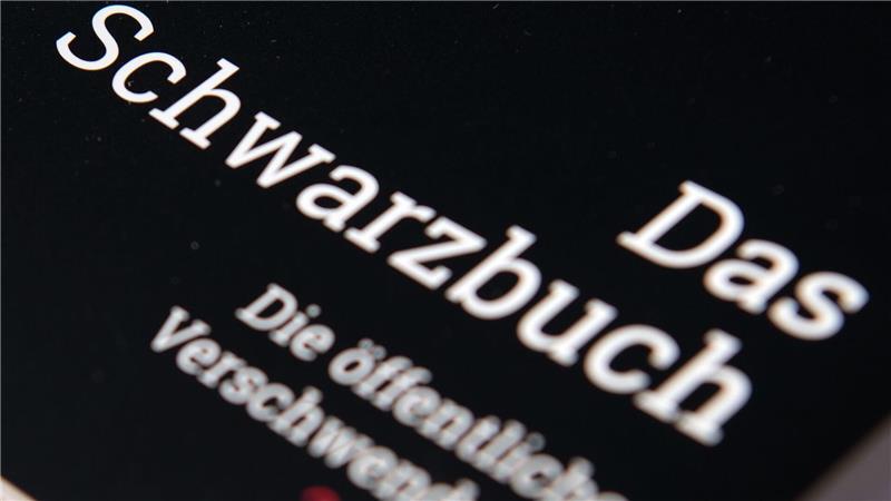 Verein stellt Fälle von Verschwendung von Steuergeldern vor Wo hätte die Stadt Geld der Steuerzahler mal besser nicht ausgegeben? Der Bund der Steuerzahler sucht nach solchen Fällen. (Archivbild)