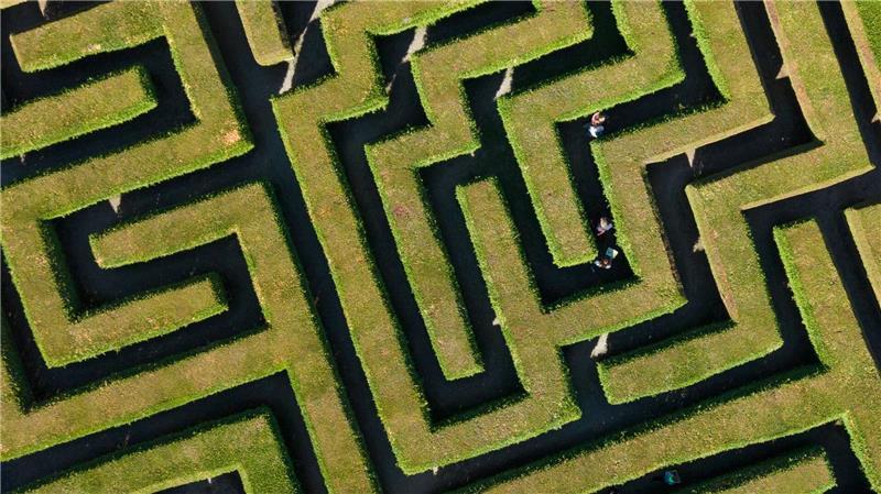 Wo ist bloß der Ausgang aus dem Irrgarten?