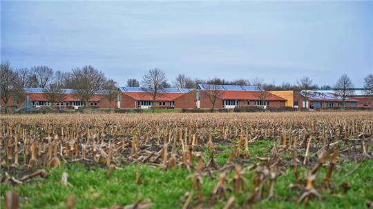 Wo jetzt noch Stoppel aus dem Acker ragen, soll bald direkt neben der Grundschule ein neues Baugebiet entstehen.