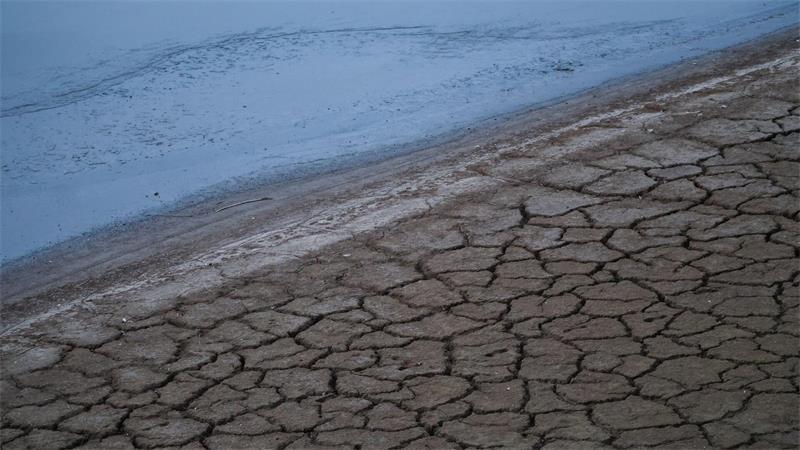 Wo sonst Wasser oder zumindest Schlamm ist, ist es derzeit knochentrocken im Düsseldorfer Hafen. 