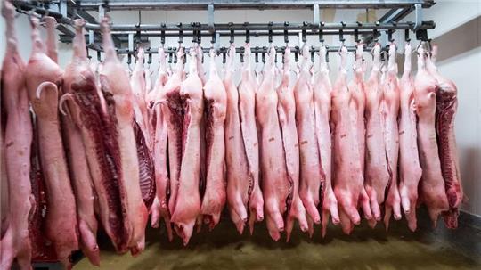 Wohl als Reaktion auf die von der EU angedrohten Strafzölle auf chinesische E-Autos hat China eine Anti-Dumpinguntersuchung gegen Schweinefleisch aus der EU angekündigt.