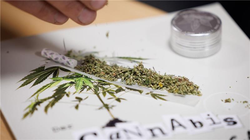 Wohl nicht überraschend: Vor allem jüngere Menschen halten das Cannabisgesetz für richtig. (Symbolbild)