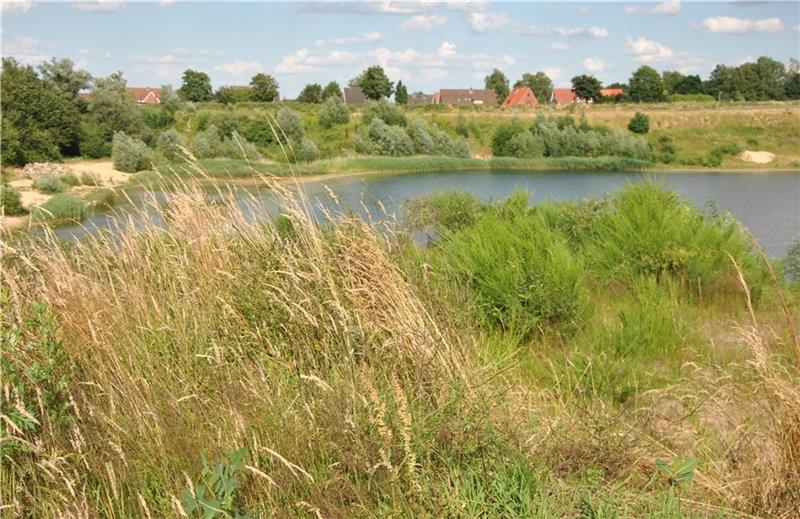 Wohnbebauung an der Ostseite des Baggersees in Schragenberg (im Hintergrund) ist im Gespräch. Foto: Lohmann
