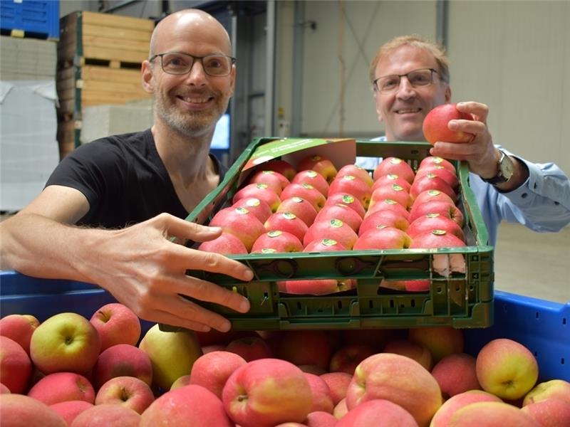 Wolfgang Kreiser vom Deutsches Obstsorten Konsortium (rechts) und Jens Anderson präsentieren die ersten frühen Äpfel der neuen Sorte „Sweetango“ in der Elbe-Obst-Sortierstation in Bassenfleth. Fotos: Vasel