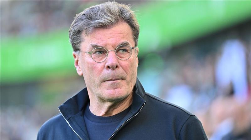 Wolfsburg-Trainer Dieter Hecking.