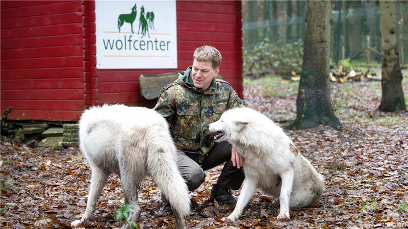 Wolfsexperte Faß warnt vor Kontakt mit Wölfen. (Archivbild)