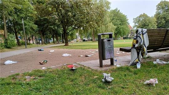 Wolldecke und leere Wodkaflaschen, Babyschuhe, Plastikbeutel, Chipstüten, Alufolien, Einwegbehälter: Alles, was eigentlich in den Müll gehört, lag vergangenen Sonntag auf dem Boden verstreut im Stadtpark Lehe.