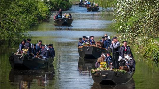 Worpswede/Bremen: Torfkahnarmada fährt alle drei Jahre über die Kleine Wümme zur Hansestadt