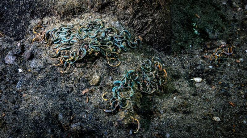 Wrack des 1495 gesunkenen Kriegsschiffs „Gribshunden“ in Südschweden.
