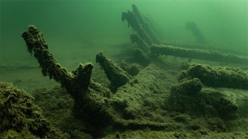 Schiffswrack von 1495: Munitionskiste und Kettenhemd Wrack des 1495 gesunkenen Kriegsschiffs „Gribshunden“ in Südschweden.