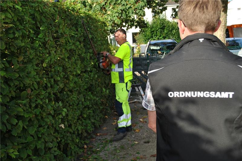 Ärger um wuchernde Hecken in Buxtehude – Stadt mahnt Rückschnitt an Wuchernde Hecken behindern den Straßenverkehr. Bei der Hansestadt Buxtehude liegen viele Beschwerden vor. Foto: Hansestadt Buxtehude