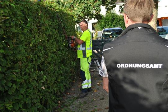 Wuchernde Hecken behindern den Straßenverkehr. Bei der Hansestadt Buxtehude liegen viele Beschwerden vor. Foto: Hansestadt Buxtehude