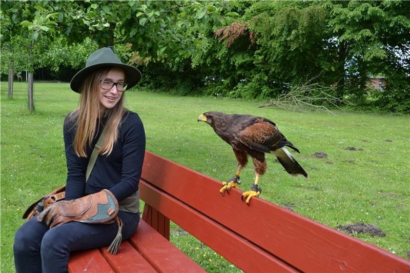 Wüstenbussard Caveira und Falknerin Leonie Johland sind ein eingespieltes Team . Fotos: Helfferich