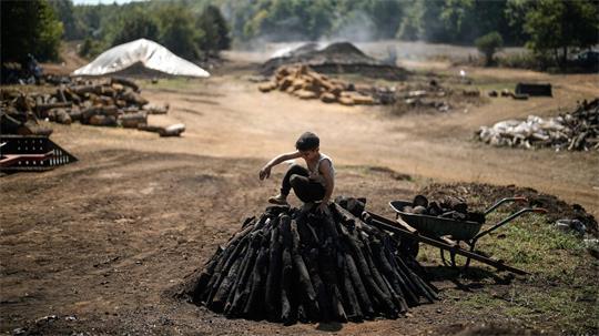 Yakoub Durak stapelt in einer Holzkohleproduktionsstätte in einem Wald in der Provinz Kocaeli Holz zu einem Haufen auf.
