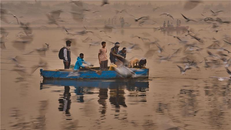 Yamuna-Ufer bei Delhi: Menschen locken Zugvögel mit Futter ans Boot.