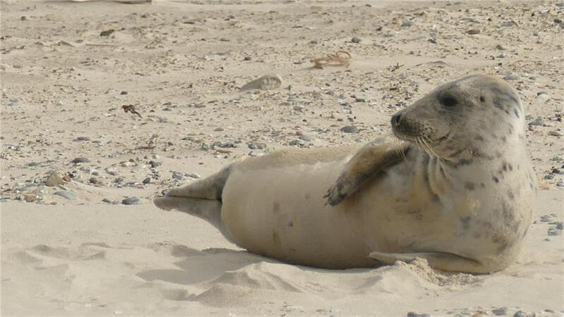 Yoga am Strand.