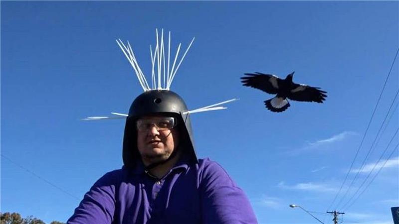 Youtuber Daniel Fitzgerald testet seinen Anti-Magpie-Helm.