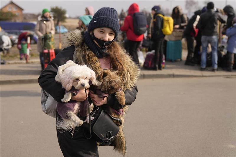 Ukrainische Tierheim-Hunde kommen nach Mienenbüttel – Buxtehude sucht Tierpaten Zahlreiche Flüchtlinge in der Ukraine haben ihre Haustiere mitgenommen. Foto: dpa-Bildfunk