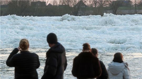 Zahlreiche Menschen nutzten das Wochenendende, um an der Elbe ein seltenes Naturspektakel zu bewundern: Eisberge auf dem Fluss.
