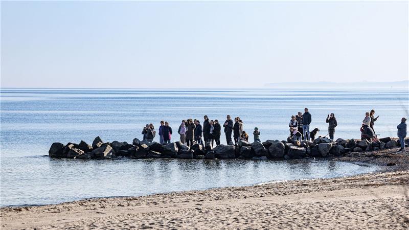 Zahlreiche Schaulustige stehen an der Mole und beobachten den Wal.
