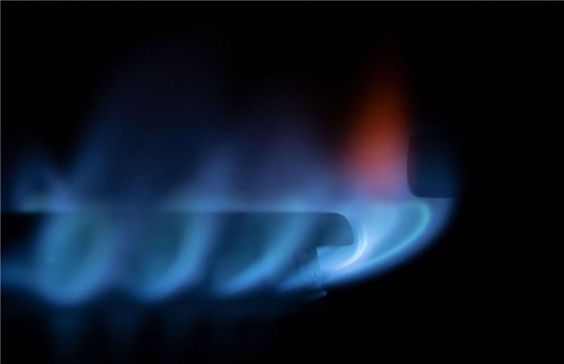 Zahlreiche blau-schimmernde Gas-Flämmchen sind an einem Gasherd zu sehen: Die Gasversorgung in Deutschland ist aufgrund der anhaltenden Ukraine-Krise weiterhin ein großes Thema.