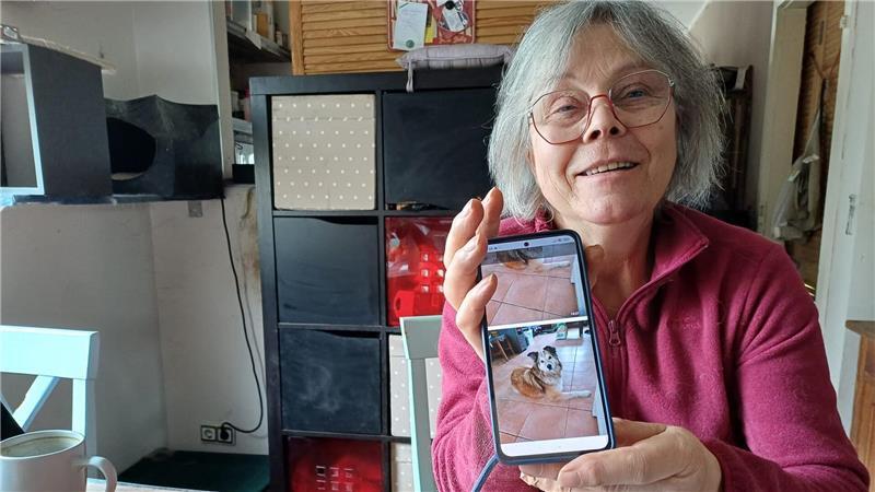 Zahnärztin Gudrun Ochsenfarth hat ein Herz für Tiere. Auf ihrem Handy ist das Foto eines Hundes aus Russland, der mittlerweile ein neues Zuhause gefunden hat. Davor gab es Ärger mit dem Veterinäramt.