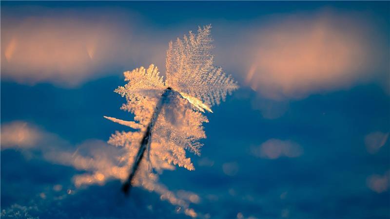 Zauberhafter Wintermorgen bei Eiseskälte.