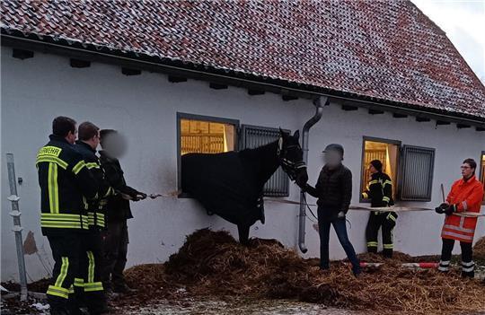Zehn Einsatzkräfte der Freiwilligen Feuerwehr halfen, das Tier zu befreien.