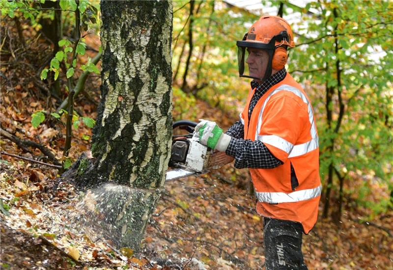 Zehn Tage sollen die Arbeiter in dem 500 Meter langen Abschnitt im Einsatz sein. Foto: Beneke