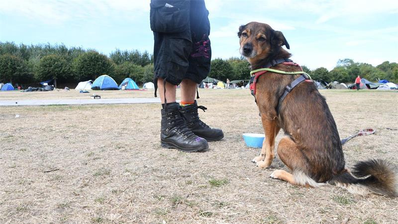 Zeitweise hatten laut Organisatoren bis zu 300 Menschen im Camp auf Sylt übernachtet.