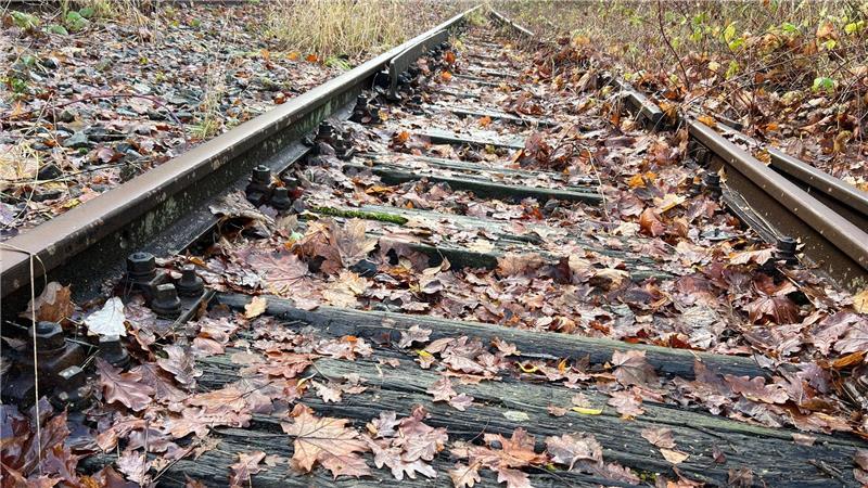 Als das Gleis in Ottenbeck Lebensader für Wirtschaft und Militär war Ziemlich verwittert: die Schwellen entlang des Gleises.
