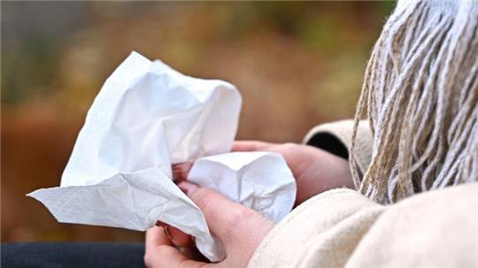 Zu Atemwegserkrankungen zählen kleinere Infekte wie ein Schnupfen aber auch die Grippe. (Symbolbild)