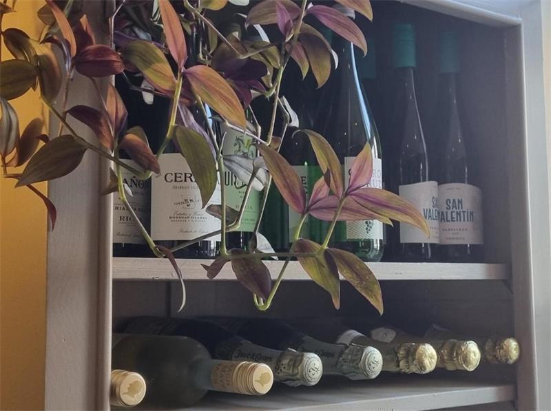 Spanische Leckereien bei Tapao: Tapas zwischen Stader Fachwerkhäusern Zu Tapas wird klassischerweise Wein getrunken. Den gibt es im Tapao ab 3,90 Euro für ein Glas.